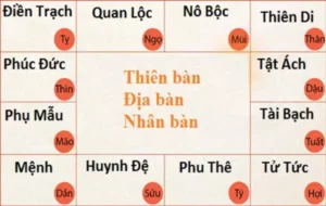 12 cung trên lá số tử vi